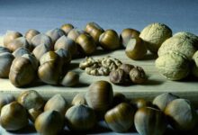 besser schlafen magnesium