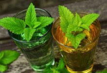 melisse schlafmittel