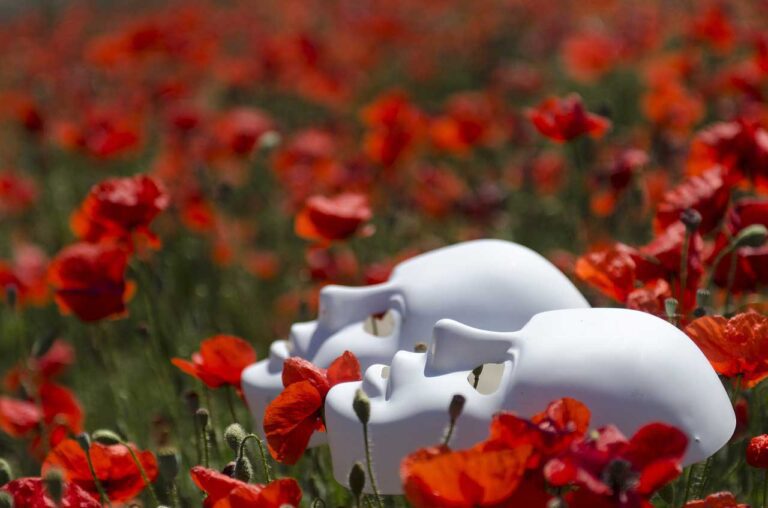schlafmohn [Bildinhalt mit KI erstellt]