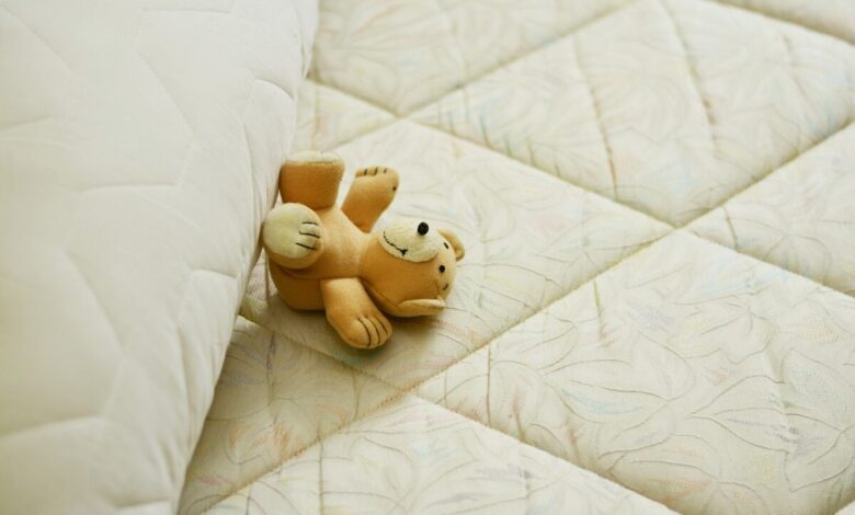 Betwanzen bekaempfen