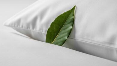 Lorbeerblatt unter Kopfkissen: Schlafhilfe aus der Natur