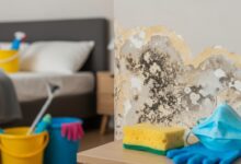 Schimmel im Schlafzimmer beseitigen und vorbeugen