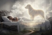 Traumdeutung Hund: Was Dein Traum Dir wirklich verrät