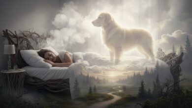 Traumdeutung Hund: Was Dein Traum Dir wirklich verrät